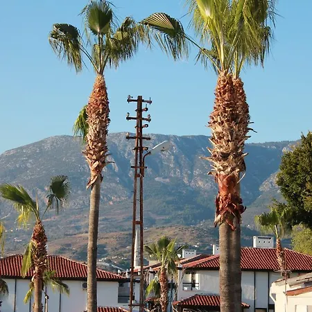 Doro * Kargicak (Alanya)